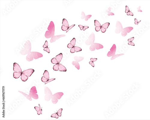 butterflies and flowers flock butterflies