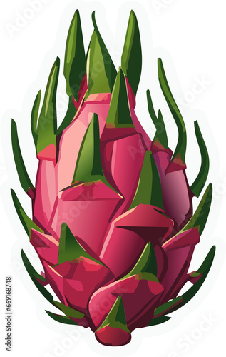Dragon Fruit Illustration