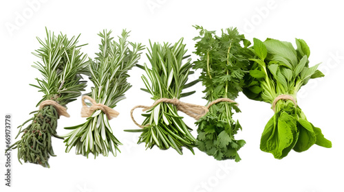 Fresh mediterranean herbs