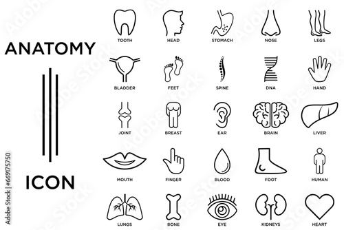icon set anatomy logo, modern concept vector photo