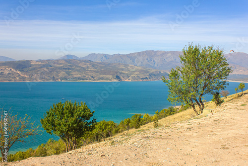 Autumn tree against the background of the blue Charvak reservoir. Autumn landscape. Uzbekistan, October 2023
