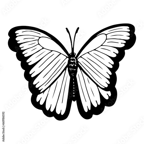 Beautiful butterfly sketch. Hand drawn line art illustration.