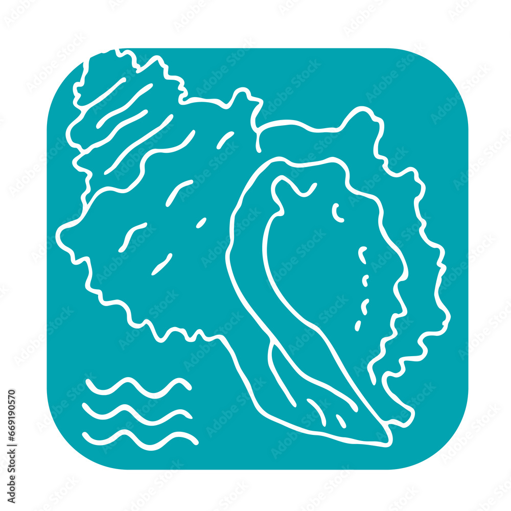 Sea shell natural beauty from ocean beach treasure collection. Summer time vacation mood. Aquarium exotic tropical decoration. Hand drawn illustration. Line drawing. Sea shell natural beauty from ocean beach treasure collection. Summer time vacation mood. Aquarium exotic tropical decoration. Hand drawn illustration. Line drawing.