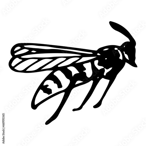 Wasp sketch. Flying stinging insect honey bee. Hand drawn illustration.
