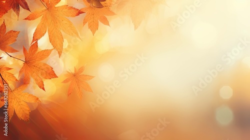Natural light autumn background with yellow leaves and blurred bokeh