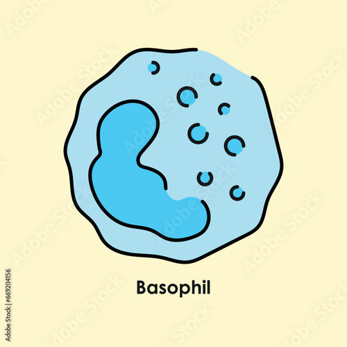 Basophil color icon. White blood cells in the blood vessels.