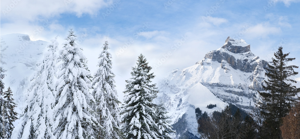 ski resort, beautiful winter landscape, snow-covered firs on mountains, spruce in snow, concept holiday in Switzerland, beauty of snowy mountain peaks and natural wonders