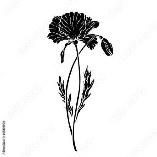 Fototapeta Naklejka Na Ścianę i Meble -  Silhouette, doodle of a wild poppy flower. Vector graphics.