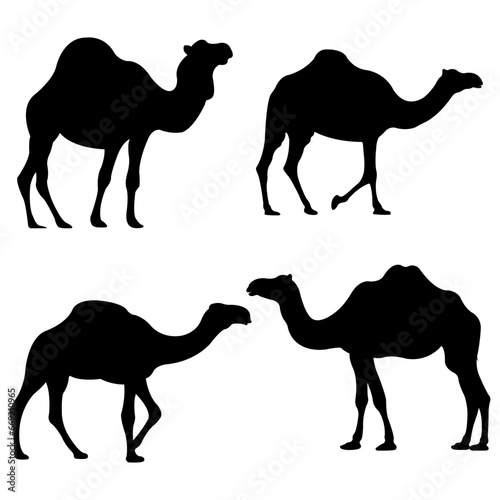 Camel Silhouette on white background