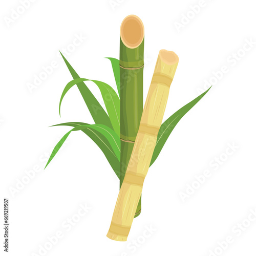 Sets of sugarcane stem and leaves. Green and violet sugar cane plant sliced. Cut saccharum officinarum and sweet juice. Agriculture industry healthy product. Fresh and raw sugarcane icon, logo, vector