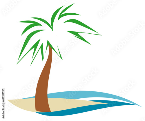 palm tree on the beach