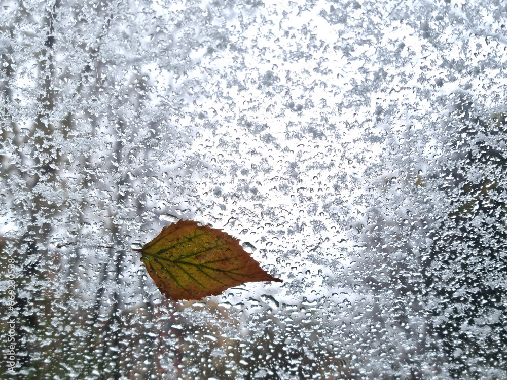 Autumn mood. Longing and depression. Yellow autumn leaf and raindrops and snow on glass. Selective focus Autumn mood. Longing and depression. Yellow autumn leaf and raindrops and snow on glass. Selective focus