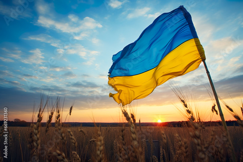 Ukrainian flag in a field at sunset photo
