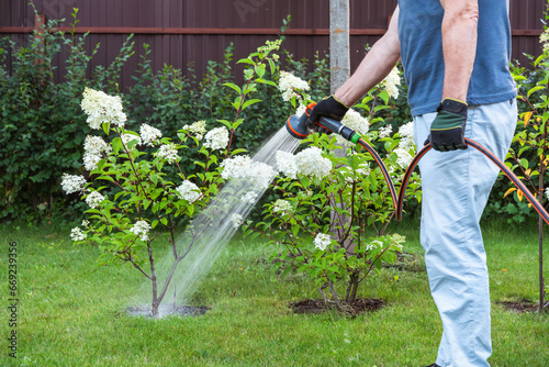 Fototapeta Naklejka Na Ścianę i Meble -  Man is watering garden. High quality photo