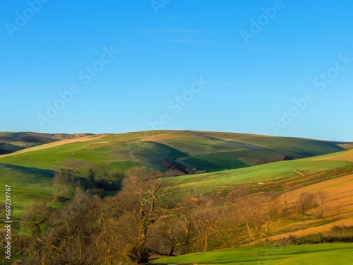 landscape with field and blue sky © Ulrich