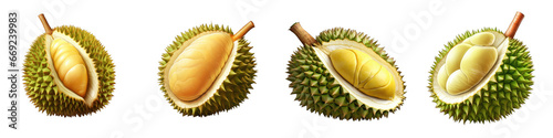 Durian clipart collection, vector, icons isolated on transparent background