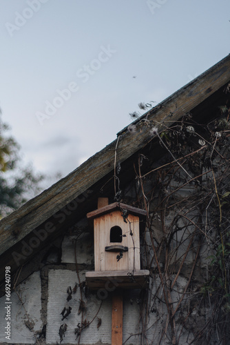 Birdhouse, wood, nature, closeup, bird, autumn, autumn vibe, dry flowers, landscape, nest, building © Holy