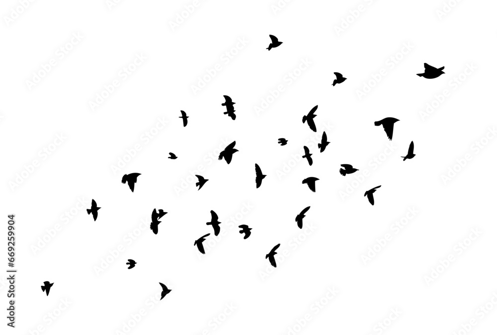 Flying birds silhouette flock. hand drawing. Not AI, Illustrat3. Vector illustration