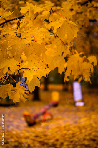 Autumn tree with blurred playground