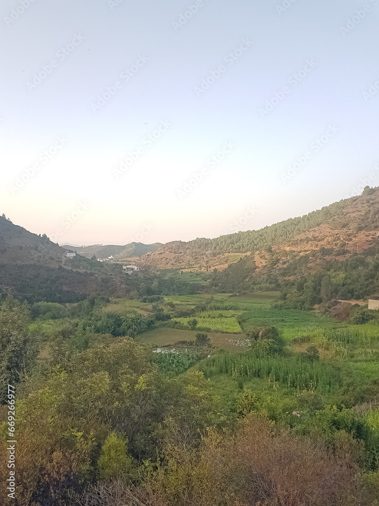 Obraz premium Lush Mountain Landscape with Acres of Greenery