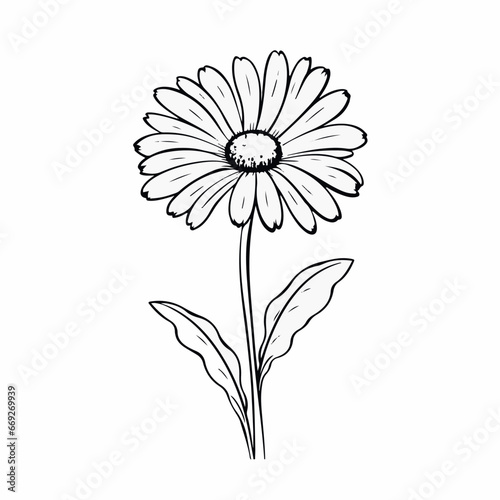 Aster  in cartoon  doodle style. 2d vector illustration in logo  icon style. AI Generative