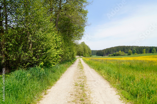 a scenic endless road leading through the picturesque Bavarian countryside with lush green meadows on a sunny spring day with the blue sky (Birkach, Bavaria, Germany)	 photo