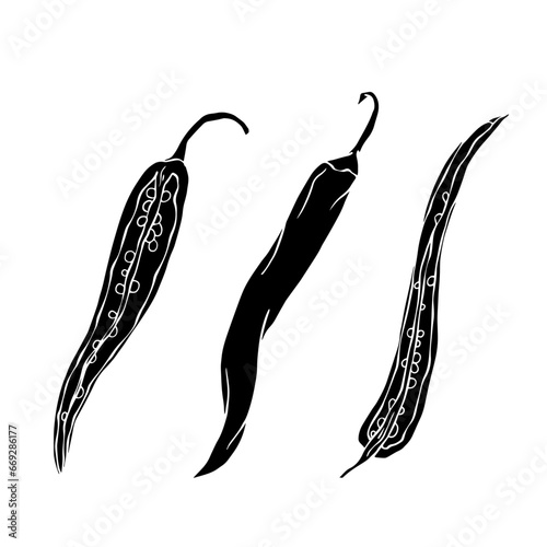Silhouette of a hot chili pepper pod. Vector graphics.