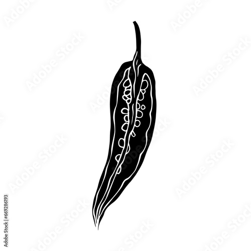 Silhouette of a hot chili pepper pod. Vector graphics.