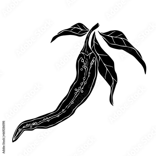 Silhouette of a hot chili pepper pod. Vector graphics.