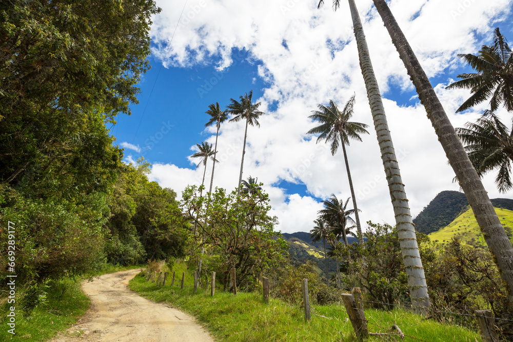 Obraz premium Cocora