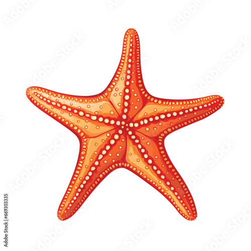 Hand Drawn Flat Color Starfish Illustration