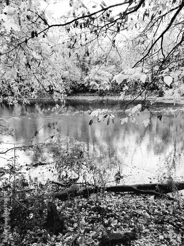 Olentangy River in Autumn, Columbus, Ohio photo