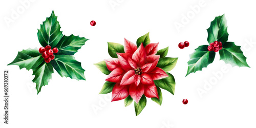 Watercolor set of christmas poinsettia and holly berry. New year botanical december symbol illustration isolated on white background. For designers, decoration, shop, for postcards, wrapping paper