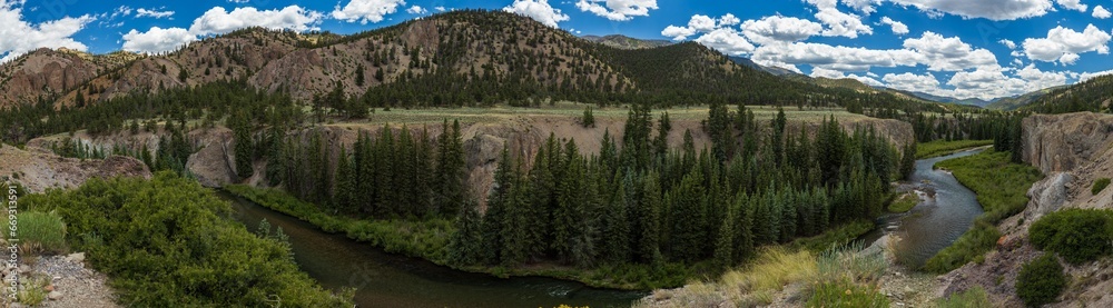 Canyon river panorama with rolling forest hills and afternoon summer skies