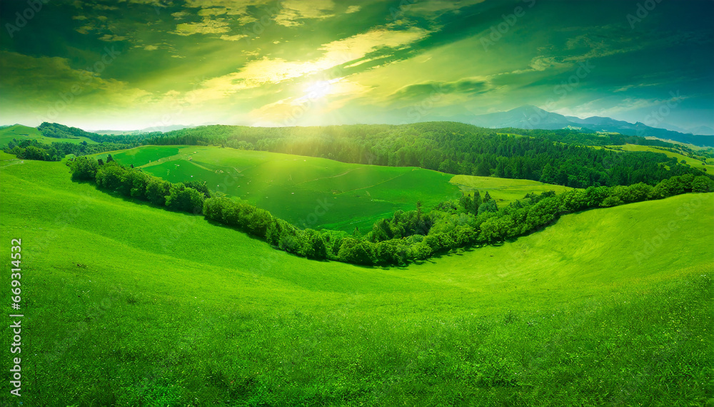 Fototapeta premium Climate green background
