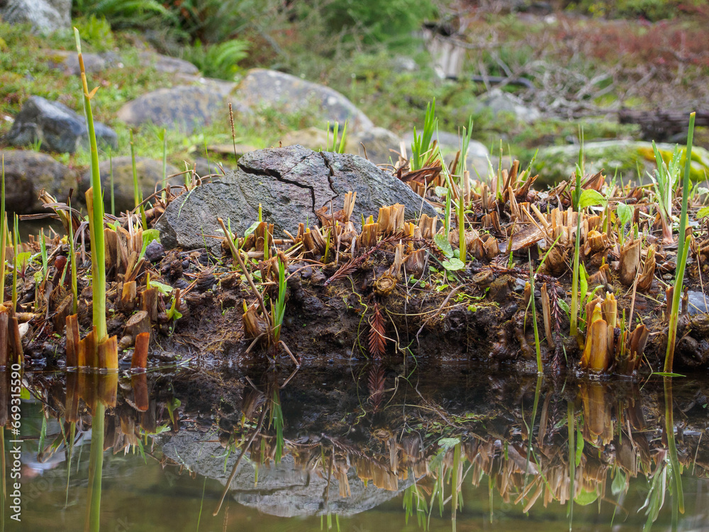 Obraz premium Large rock sitting in the middle of a pond with reflection.