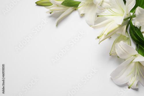 Beautiful lily flowers on white background, flat lay. Space for text