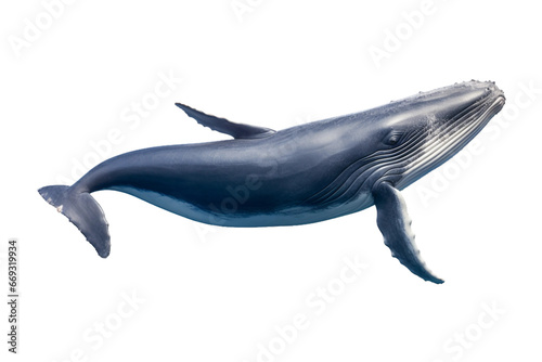 whale isolated on a transparent background, humpback whale jumping out of the water isolated. Generative AI