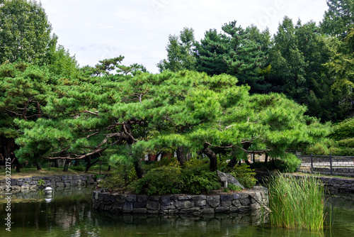 Fototapeta Naklejka Na Ścianę i Meble -  The Korean traditional beautiful garden.