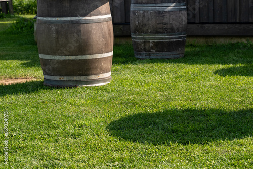 Multiple aged wooden whisky barrels outside on lush green grass.  The oak wine barrels are used for outdoor tables at a distillery.  Grey metal bilge hoops keep the wood staves together.  photo