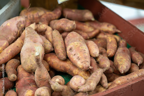 A basket of tuber sweet potatoes or yams for sale at a farmers' market. The bulk container of harvested yellow skinned raw whole root vegetables. The spuds have soil on the skin of the vegetable.  photo