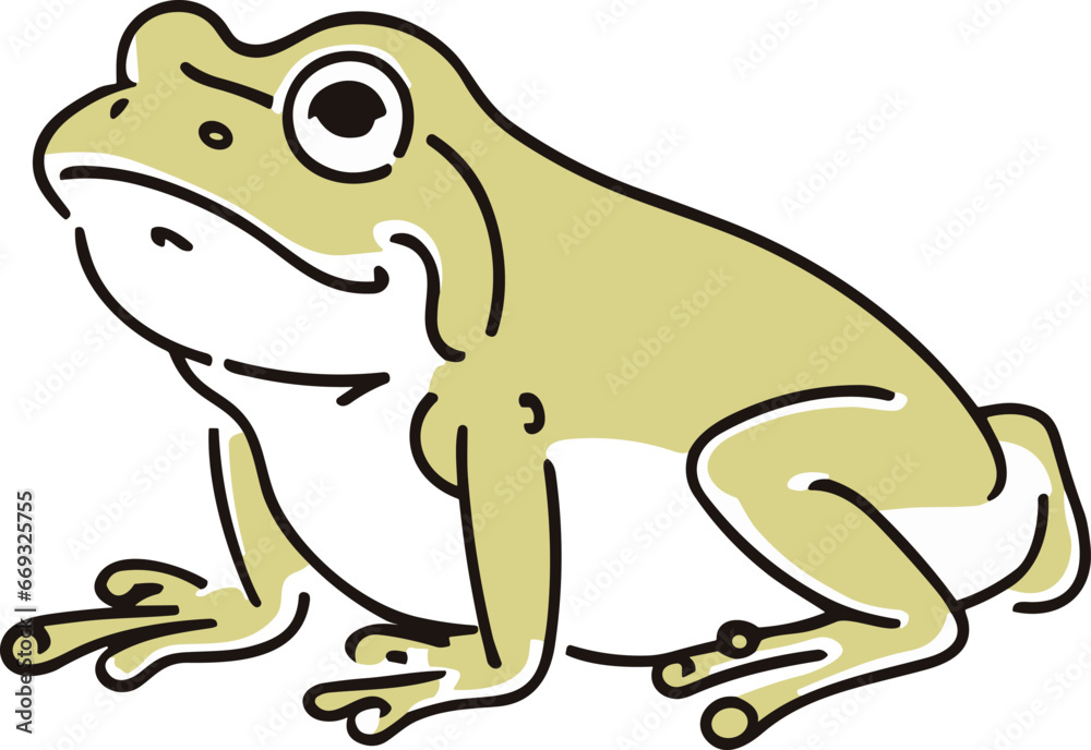 Fototapeta premium カエルのイラスト