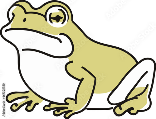カエルのイラスト