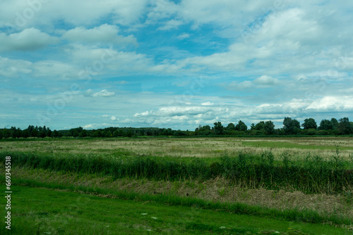 Netherlands, Harderwijk, Dolfinarium, a close up of a lush green field