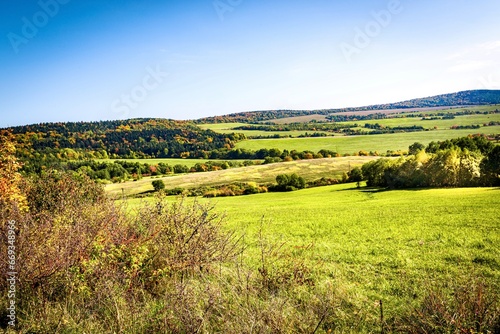 Fototapeta Naklejka Na Ścianę i Meble -  Landscape with green meadow and forest in the background, Poland.