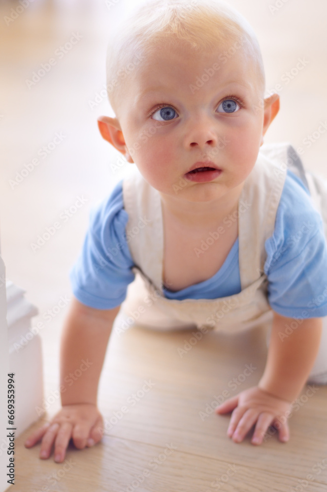 Baby, face and toddler in home on floor learning to crawl with hands for child development. Relax, cute kid or healthy young boy on ground for motor skills, growth or balance in house living room Baby, face and toddler in home on floor learning to crawl with hands for child development. Relax, cute kid or healthy young boy on ground for motor skills, growth or balance in house living room