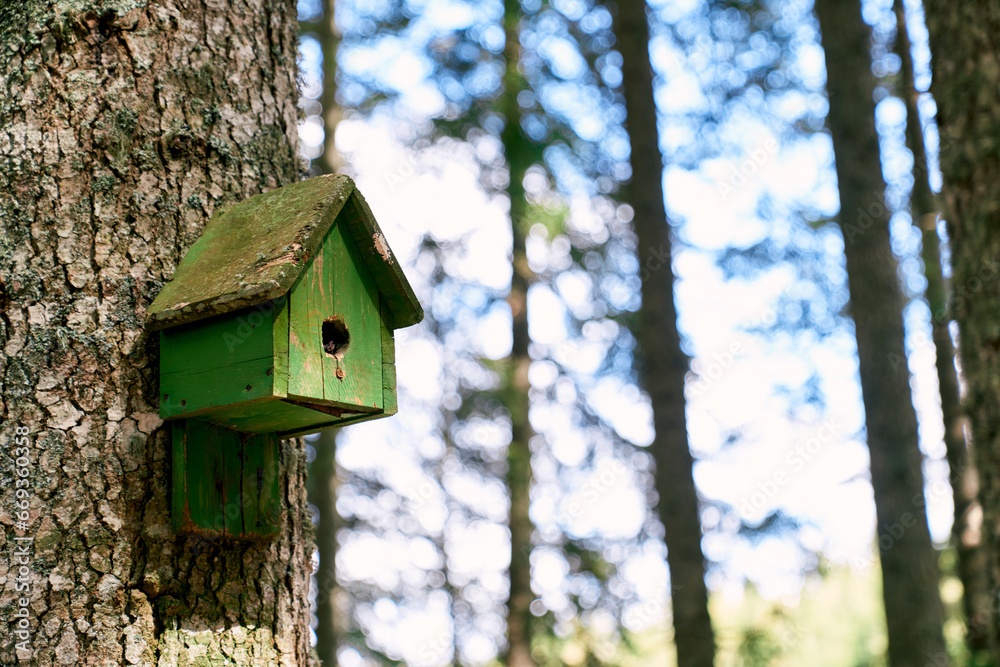 Green birdhouse hanging on a tree in the forest