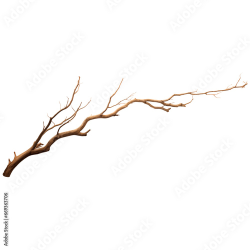 Tree branch isolated transparent, Generative AI