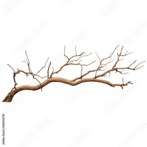 Tree branch isolated transparent, Generative AI