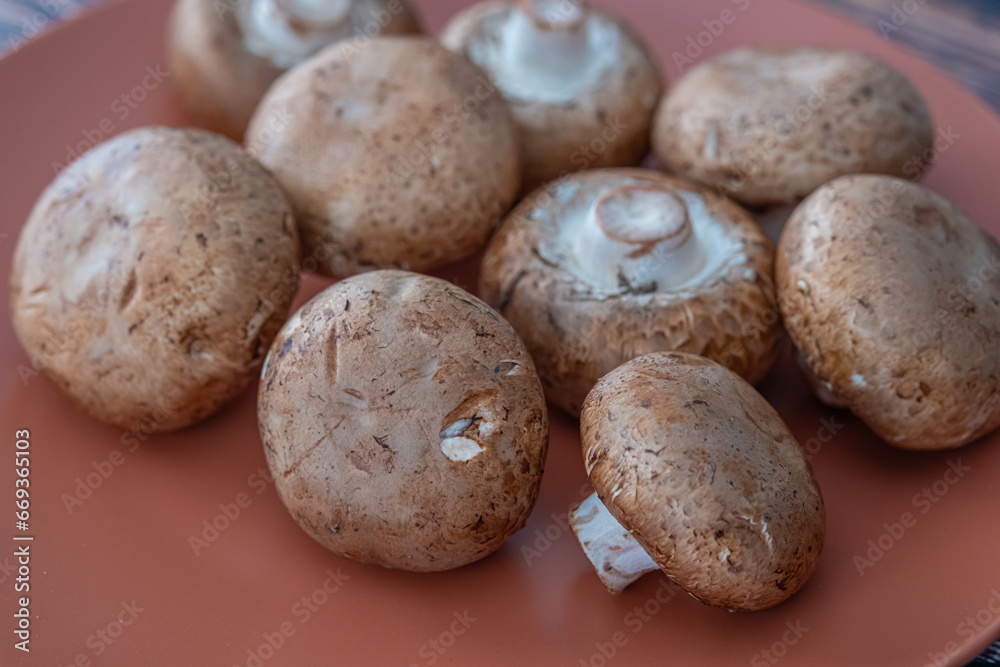 Collection of fresh Edible Mushrooms ready to cook Collection of fresh Edible Mushrooms ready to cook